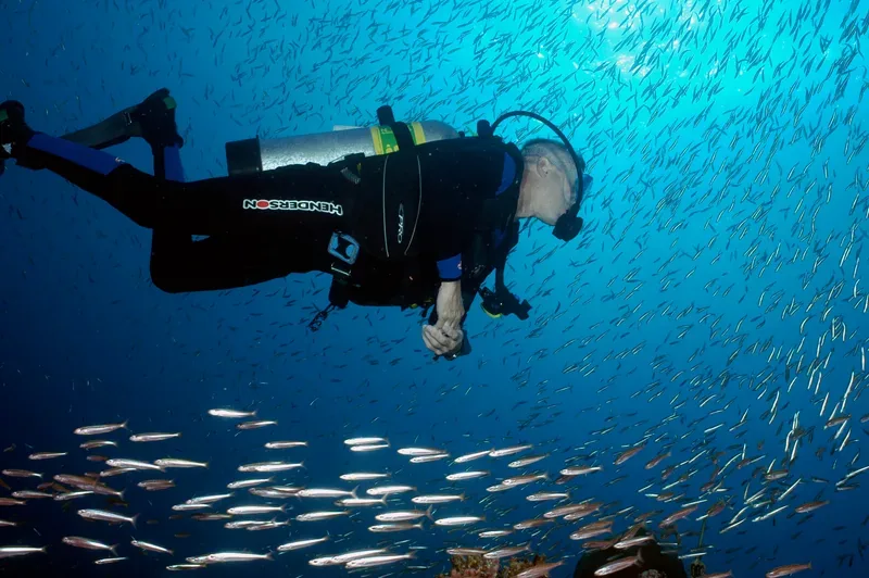 Scuba diver beside a swirling school of fish