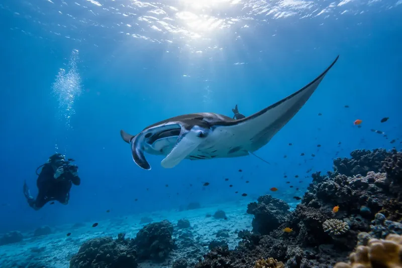 Maldives liveaboard at anchor, a boat-based diving holiday