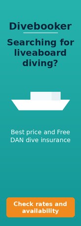 Divebooker liveaboard deals, our booking partner